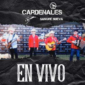 Download track El Solito (En Vivo) Cardenales Sangre Nueva