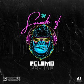 Download track Baby Hello PelamoSkizzy Jhay, Kally Cee, Dj Kidda