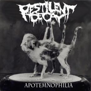 Download track Matewan Pestilent Decay