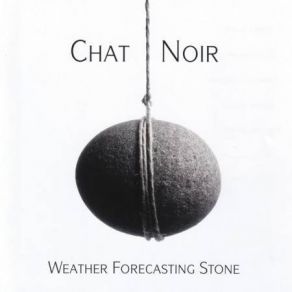 Download track Swinging Stone Chat Noir