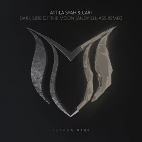 Download track Dark Side Of The Moon (Andy Elliass Remix) Cari, Attila Syah