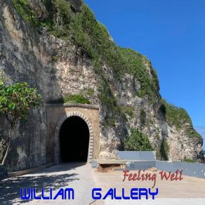 Download track Feeling Well William Gallery