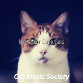 Download track Stylish Music For Cute Cats Cat Music Society