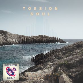 Download track Solace Torsion Soul