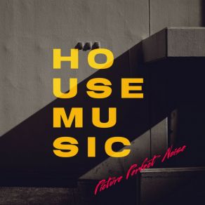 Download track House Music (Club Mix) Picture Perfect Noise