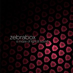 Download track Sombrillas De Luz II (Infiltración) Zebra Box