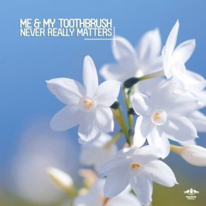 Download track Never Really Matters Me My Toothbrush