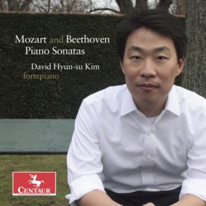 Download track Piano Sonata No. 8 In A Minor, K. 310: III. Presto David Hyun-Su Kim