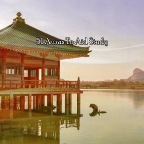 Download track Harmonys Peaceful Serenity Pro Sounds Effects Library