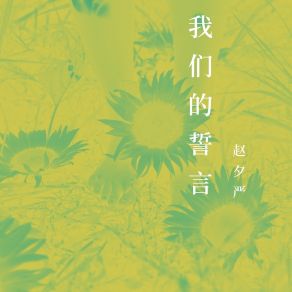 Download track 温柔的肩膀 赵夕严