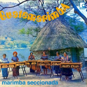 Download track Alegres Camineros Guatemarimba