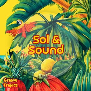 Download track Tropical Jazz Chill Vibes Latin Masters