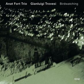 Download track It's Your Song Anat Fort Trio, Gianluigi Trovesi, Anat Fort