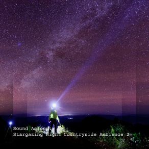 Download track Stargazing Night Countryside Ambience, Pt. 20 Elijah Wagner