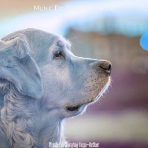 Download track Bubbly Music For Ambience Music For Dogs Romance