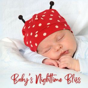 Download track Gentle Sleep Music Sweet Dreams Lullaby Studio