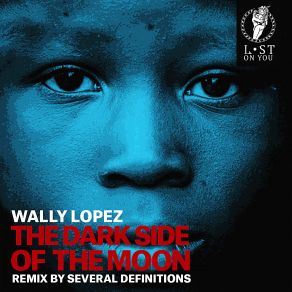 Download track The Dark Side Of The Moon (Several Definitions Remix) Wally Lopez