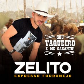 Download track Vaqueiro Topado Zelito Expresso Forronejo