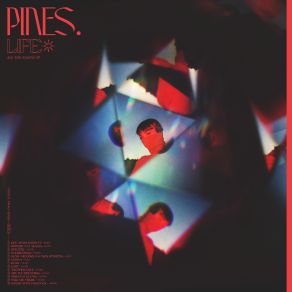 Download track Slow Memory The Pines