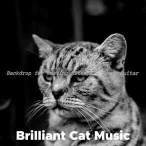 Download track Magnificent Ambiance For Cute Cats Brilliant Cat Music