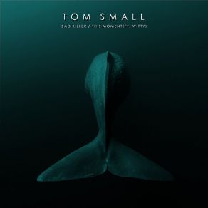 Download track This Moment Tom SmallWitty