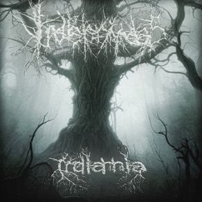 Download track Rotten Tree Irdiannikaas