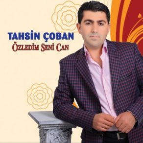 Download track Özledim Seni Can Tahsin Çoban