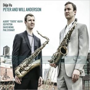 Download track Jamais Vu Will Anderson, The Pete