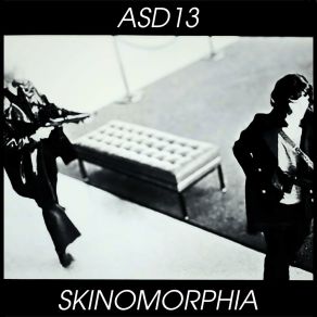 Download track Sht Skinomorphia