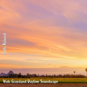 Download track Wide Grassland Daytime Soundscape, Pt. 1 Steve Brassel