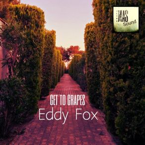 Download track Blade Walker (Original Mix) Eddy Fox