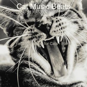 Download track Casual Resting Cats Cat Music Beats