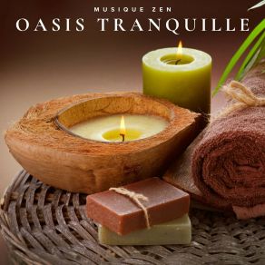 Download track Musique De Spa Pour La Relaxation Musique Zen