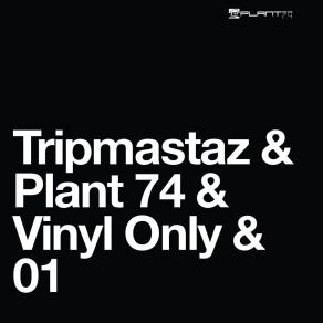 Download track Fortify (Original Mix) Tripmastaz