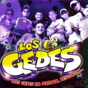 Download track Toda La Vagancia Los Gedes