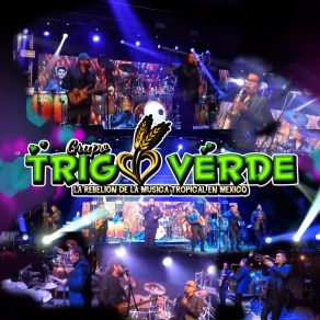 Download track Bienvenido El Bolero (En Vivo) Grupo Trigo Verde