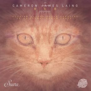 Download track Her (Peter Pardeike Remix) Cameron James Laing