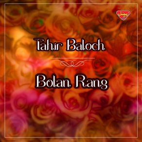 Download track Gullen Mehlkh Tube Tahir Baloch