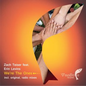 Download track Were The Ones (Radio Edit) Erin Levins, Zach Teiser