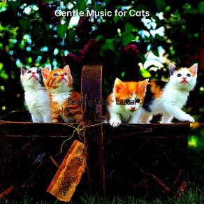 Download track Entertaining (Relaxing Cats) Gentle Music For Cats