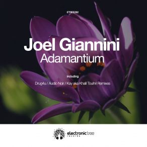 Download track Adamantium Kay Aka Khalil Touihri'remix Joel Giannini