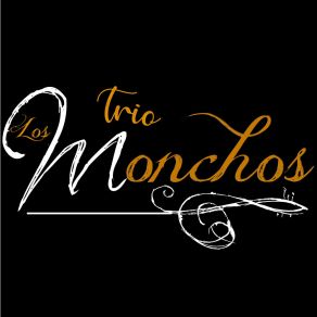 Download track El Milagro De Tus Ojos Trío Los Monchos