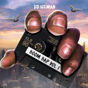 Download track Get Home Iceman DJ