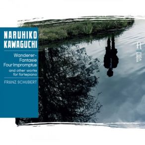 Download track Wanderer-Fantasie In C Major, Op. 15, D. 760: III. Presto Naruhiko Kawaguchi