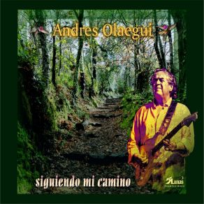 Download track Sueños Andrés Olaegui