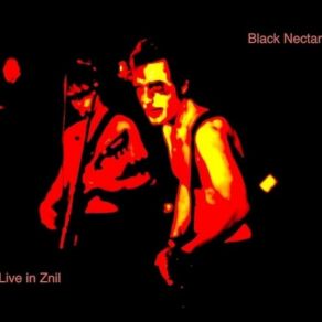 Download track Black Nectar - The Nectar - Live @ Kapu, AT Black Nectar