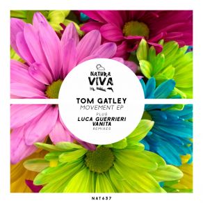 Download track Arriva (Vanita Remix) Tom GatleyVanita