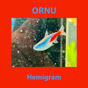 Download track Cheirodon Ornu