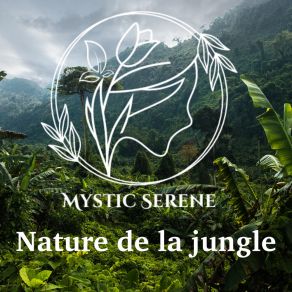 Download track Nuit Silencieuse Mystic Serene