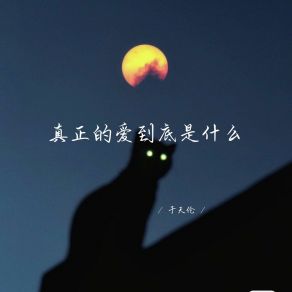 Download track 真正的爱到底是什么 于天伦